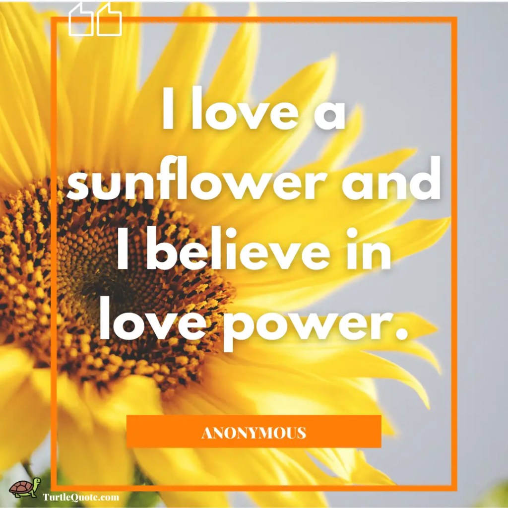 \"Sunflower